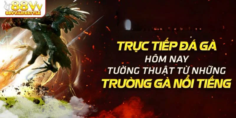 huong-dan-xem-da-ga-c3-truc-tiep-tai-88vv