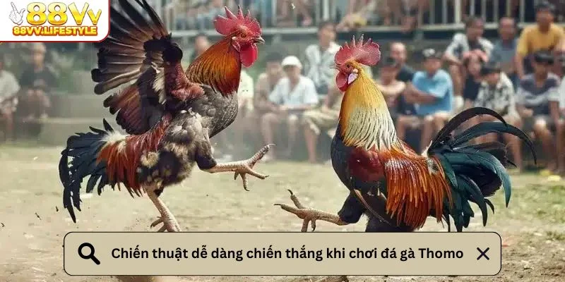 mot-vai-chien-thuat-hieu-qua-nguoi-choi-can-nam