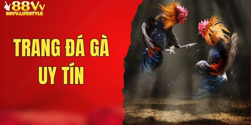 trang-da-ga-uy-tin
