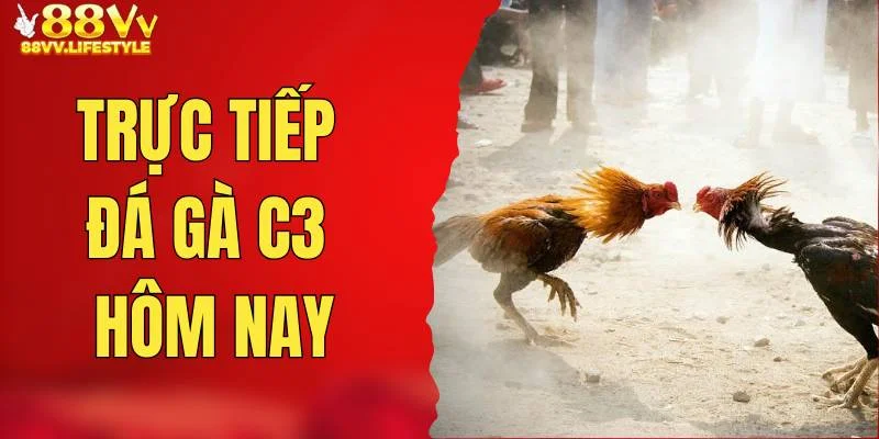 truc-tiep-da-ga-c3-hom-nay